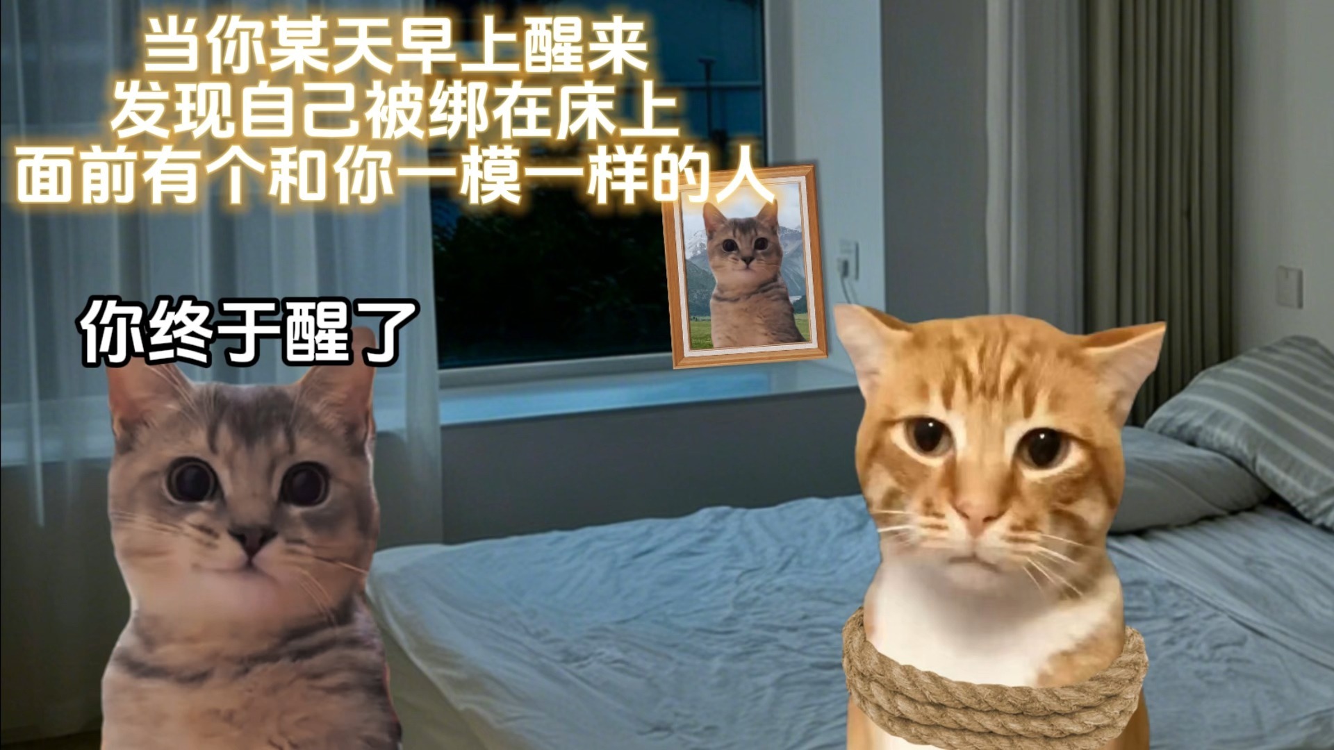 "你会怎么选择"