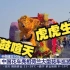 中荷建交50周年中国花车亮相荷兰大型花车巡游庆典