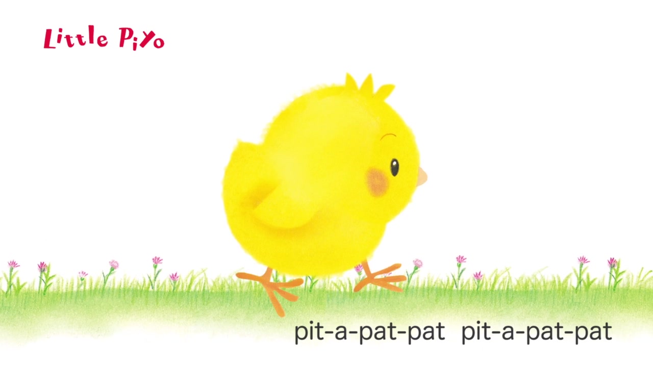 送给喜欢看小鸡球球绘本的宝宝们