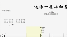 送你一朵小红花陶笛曲谱_陶笛曲谱12孔