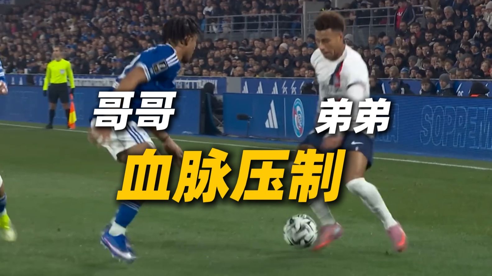 世子之争素来如此