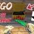 【CSGO】开局一把刀，装备全靠开！开箱吃鸡模式