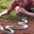 【徒手猎汉】全非洲最可怕的蛇：黑曼巴蛇 @柚子木字幕组