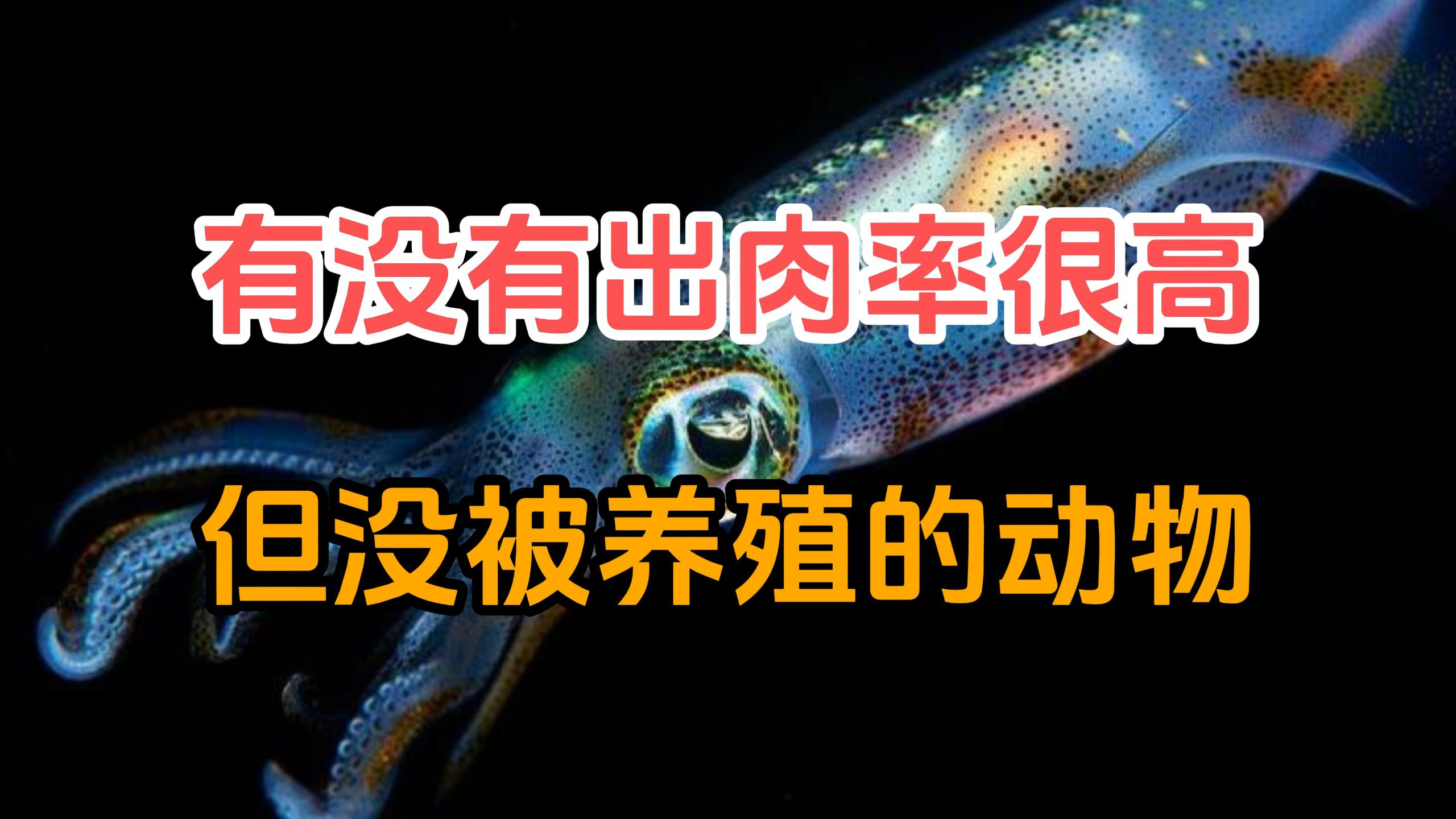 自然界中有没有出肉率比一般家畜高却没被人类养殖的动物？