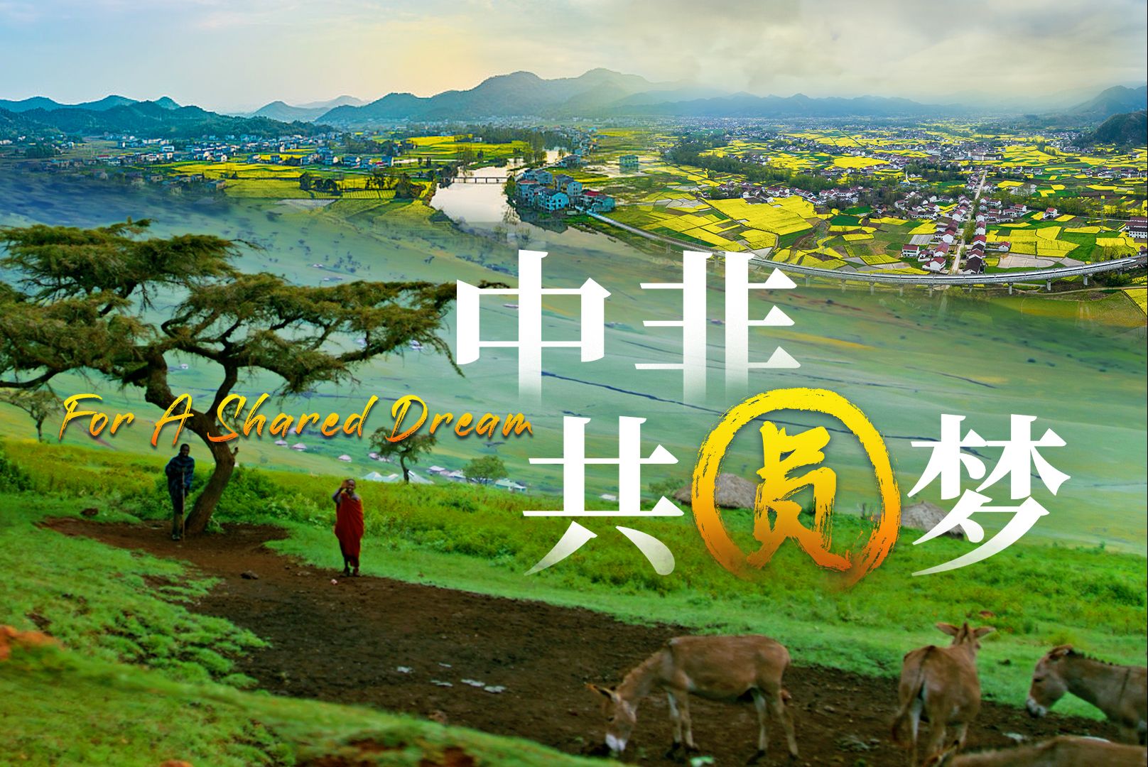 微视频｜中非共圆梦