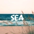 【BTS】Sea | LOVE YOURSELF 承 'Her'隐藏曲目