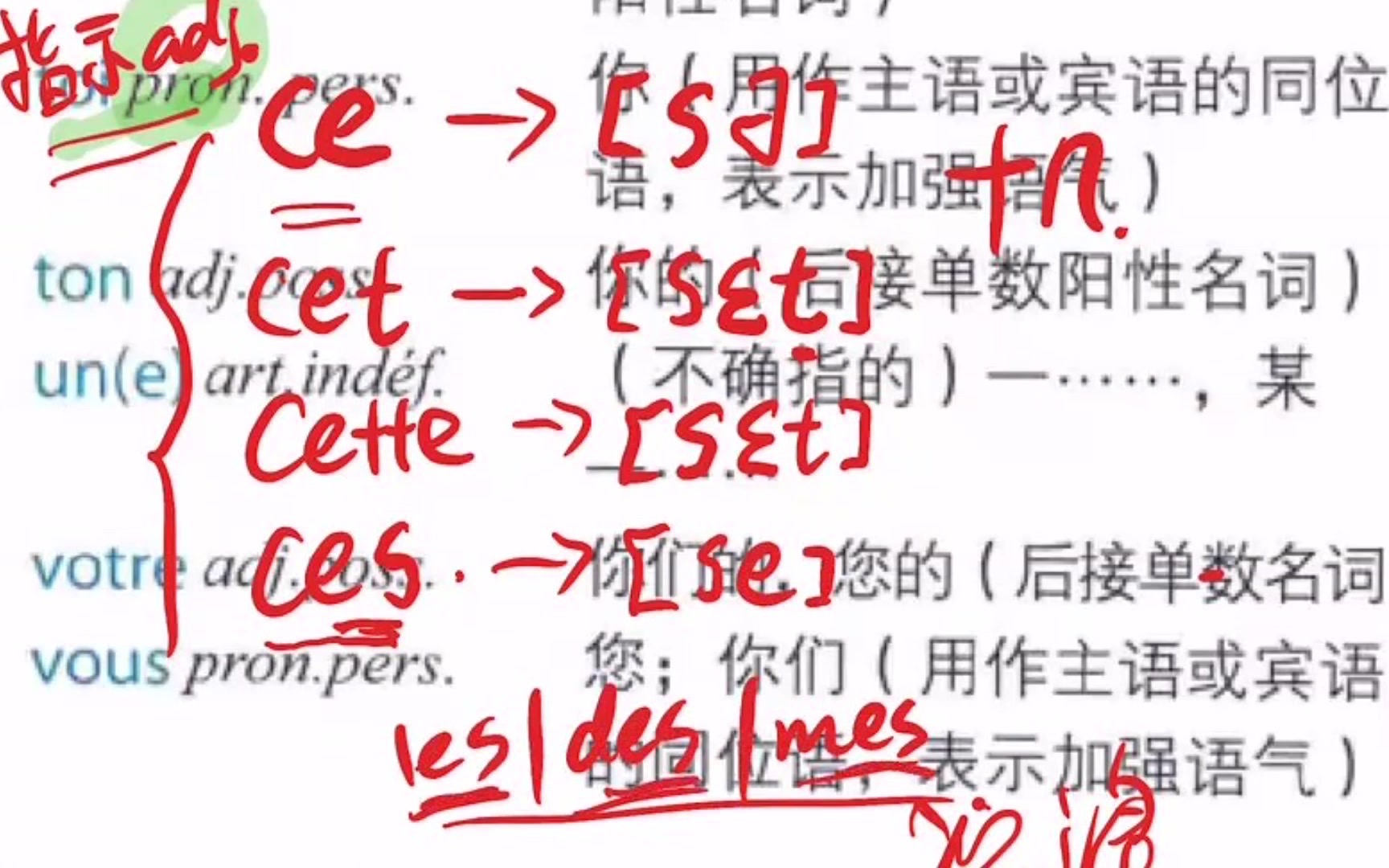 1050 A1指示形容词Ce Cette Cet Ces 入门法语 哔哩哔哩