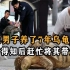 北京男子捡到乌龟，养7年才察觉不对劲，警方调查后赶忙将其带走