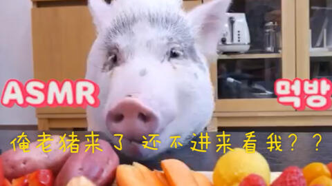 413c7579fa9305acdc887340c54a67952939b576.jpg@480w_270h_1c