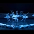 【高清绝美芭蕾群舞】《天鹅湖》巴黎歌剧院  舞蹈高清视频欣赏素材资料2006年