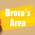 【沟通科学】(中英) 两分钟神经科学：布罗卡区 2-Minute Neuroscience: Broca's Area