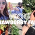 VLOG | 跟我去采超大草莓！（农场解说练听力）