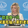 扎哈罗娃：欧盟像一只哭着吃仙人掌的老鼠