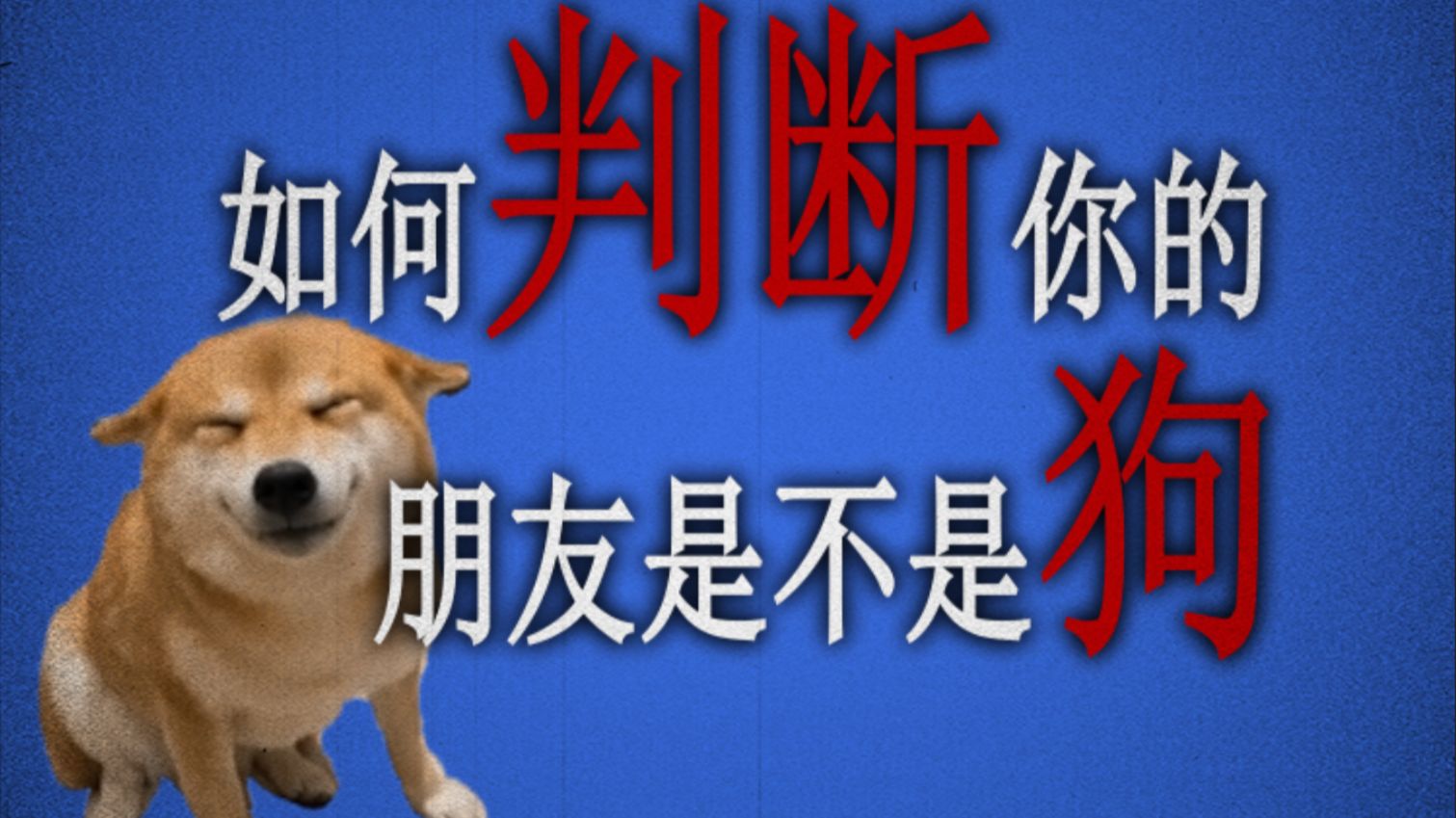 如何判断你的朋友是不是狗