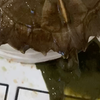 别养亚巨，喷屎猝不及防