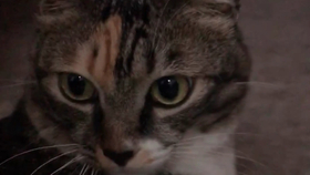 418a0e1a0eefbd469fcdaaa50dc06648221f3fc6.jpg@280w_158h_1c_100q.jpg