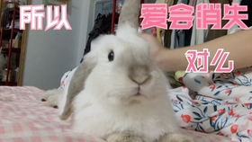 419bece442fd589a2fb92170d679d58455931783.jpg@280w_158h_1c_100q.jpg