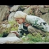 【中字】SEVENTEEN [In the SOOP SVT ver.] 主题曲MV 零站