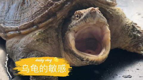 41a3277d6b684f200799a29b9890bdf312832d38.jpg@480w_270h_1c