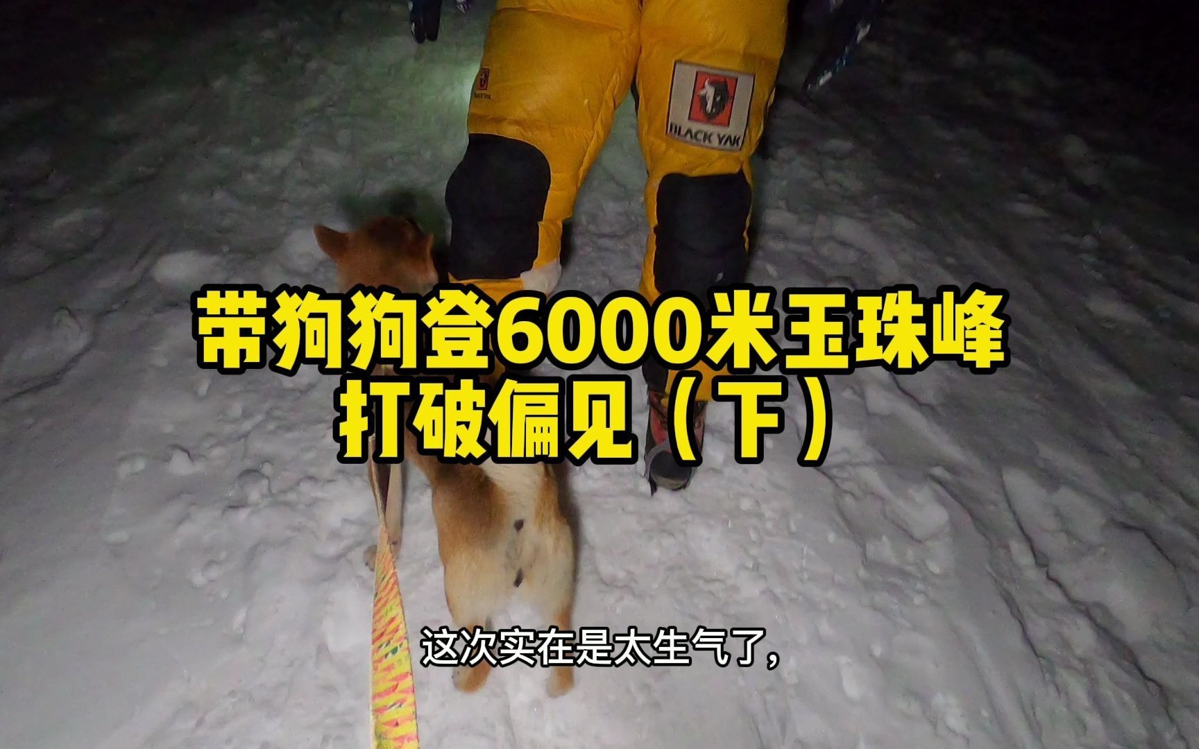 怎么理解打破偏见。无后援带狗狗登顶6178米玉珠峰雪山！[一次目更~]的第1张示图