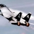 永远的大猫：F-14雄猫战斗机【探索频道：伟大飞机系列】