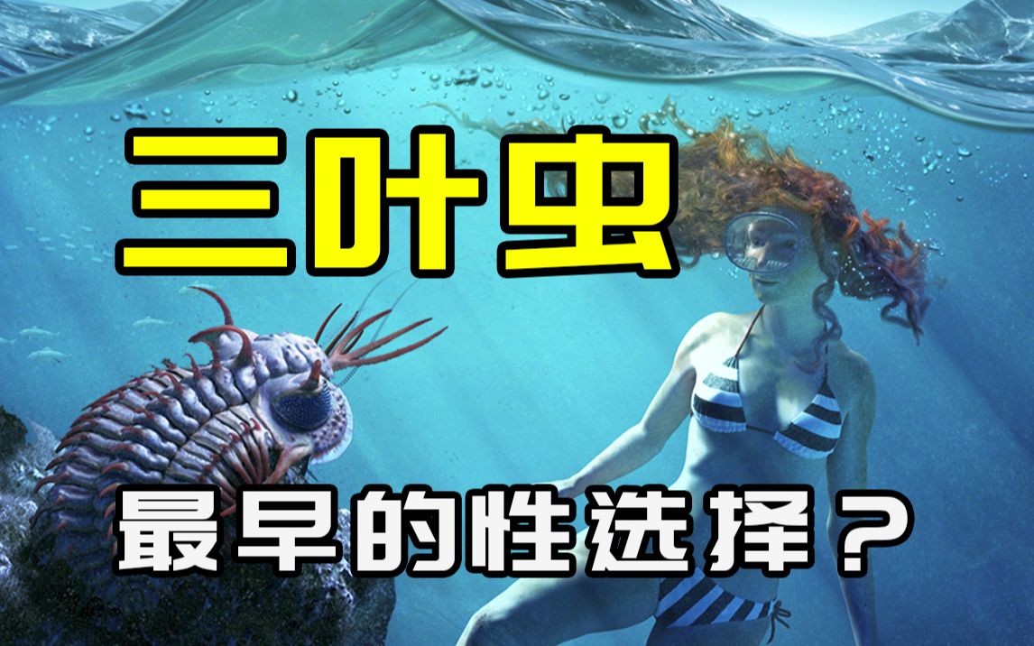 15米长的秀尼鱼龙只会嘬鱿鱼吗？4亿年前就演化出了性选择？【朝化析拾13】阿獠娜阿獠娜哔哩哔哩视频