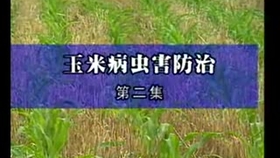 41d0be1f87c4b12765632ba0895205670e85c7f9.jpg@280w_158h_1c_100q.jpg