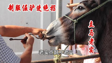 41e343db4b6db947b22f6e12beb56b699079332b.jpg@480w_270h_1c