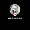 Kittycam | 基蒂康