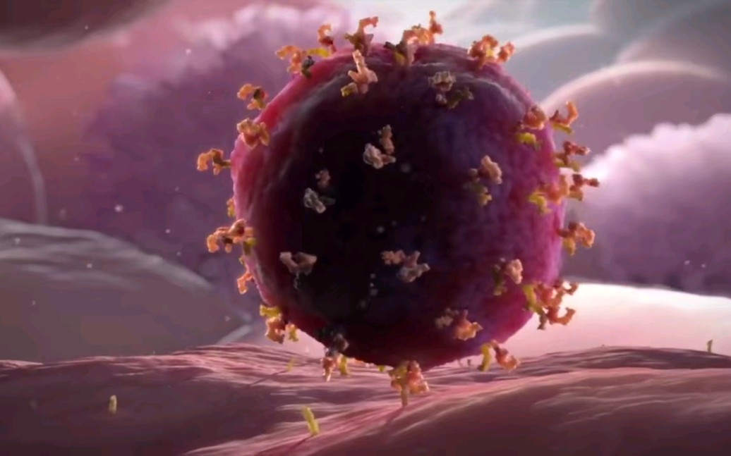 3D动画告诉你病毒是如何侵入人体的