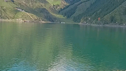 森林狂想曲,新疆天池风景区,大美新疆,新疆旅游,失眠必听