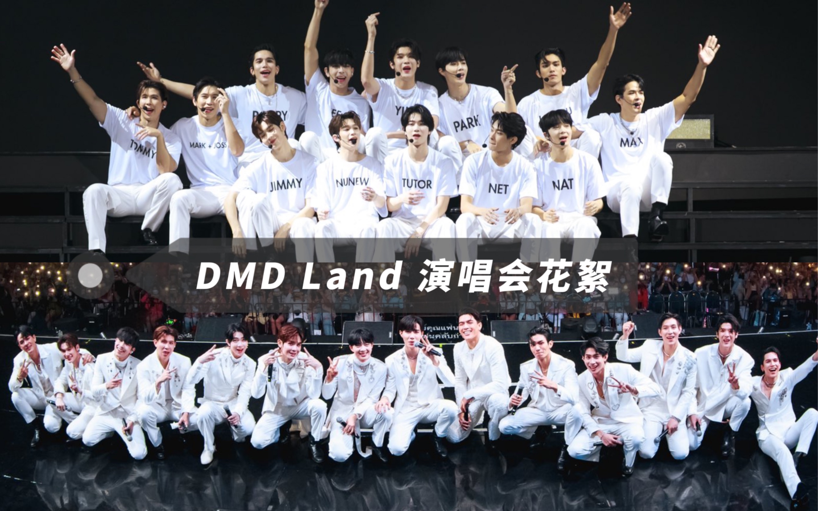 【D团中字】DMD Land演唱会幕后花絮（两集全）