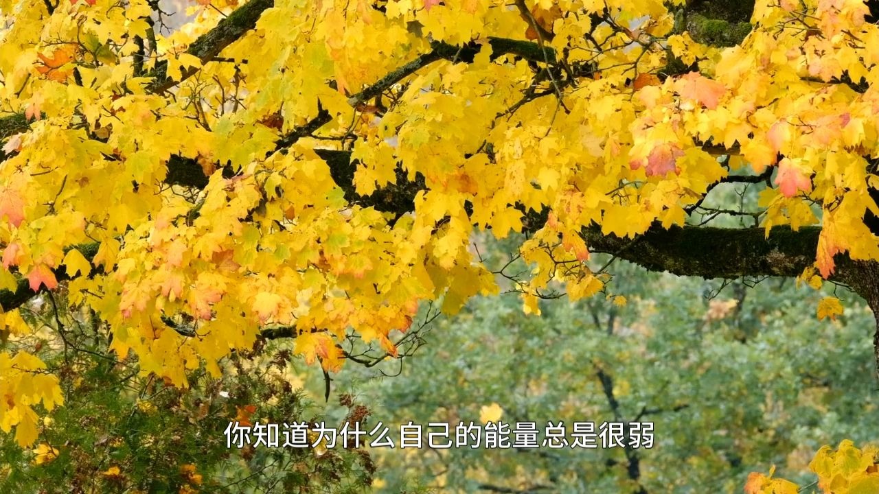 如何改写人生的底层反应机制，成功修改你的人生密码？看完它一定让你受益匪浅！