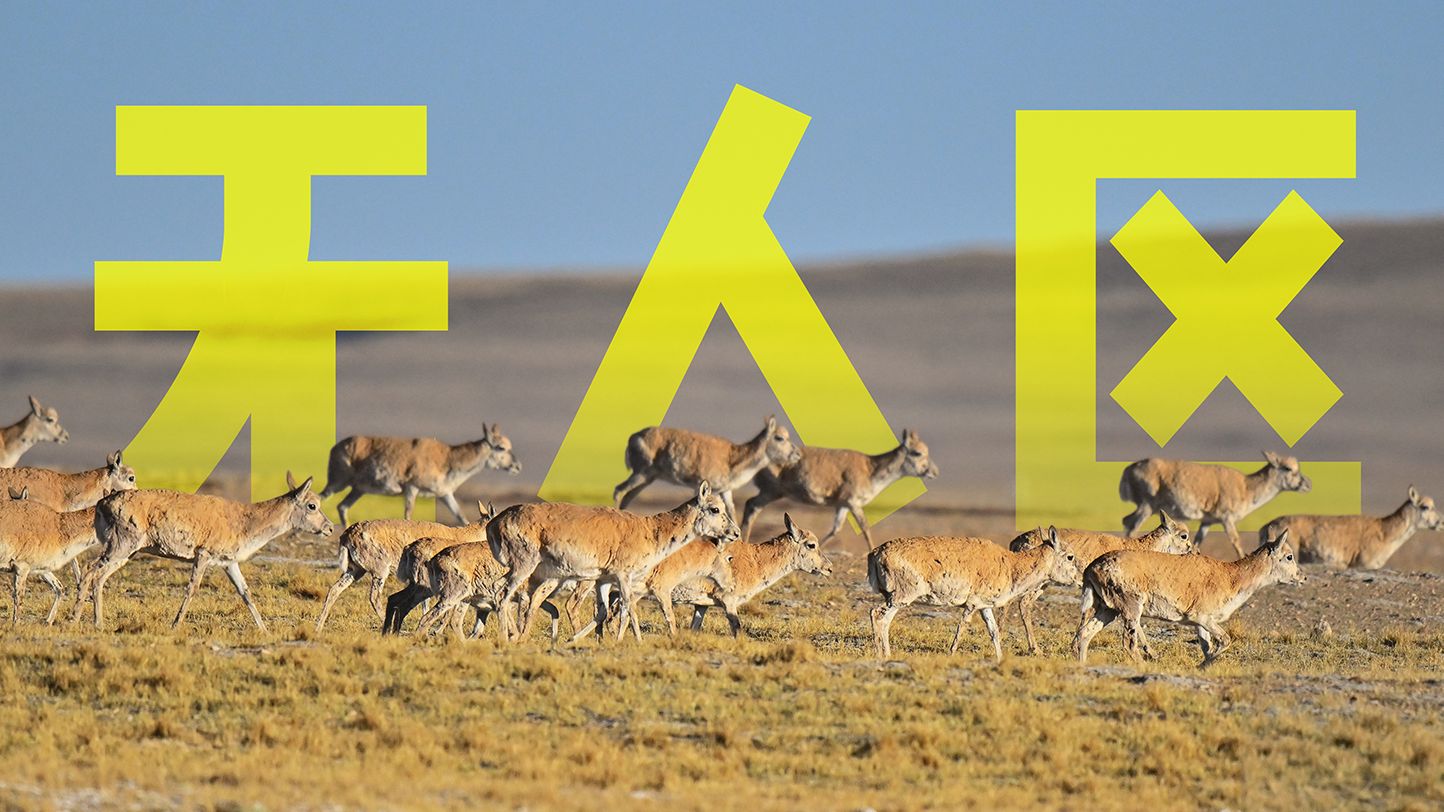 【4K】西藏无人区——很难想象世界上还有这样的地方【新华社×小V的奇幻旅程】