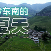 4K｜满眼绿色，黔东南的夏天