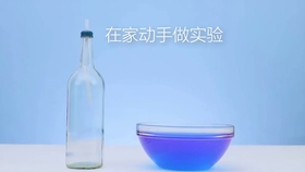 424e4390518150b540a5921df2fdf26178d245f1.jpg@280w_158h_1c_100q.jpg