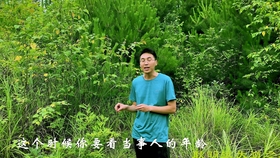 425436d79201f006657d764d2f3e19f5bddc4475.jpg@280w_158h_1c_100q.jpg