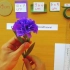 【DIY】【手工】【康乃馨】【皱纹纸】 -纸花教程