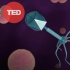 【TED-双字幕】噬菌体如何帮助我们解决抗生素危机-Alexander Belcredi