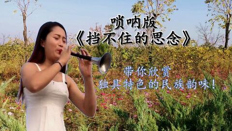 挡不住思念曲谱教学_挡不住的思念二胡曲谱