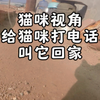 大清早我家猫就出去玩了，给它打个电话叫它回家