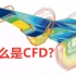 什么是CFD-计算流体动力学（生肉）