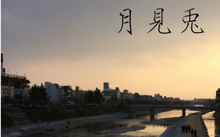 50 Days in Kyoto with Kyoto University Bunny Day 1 Kamogawa Ride