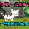 重生成为一级保护动物，还是一只基因突变的小白虎