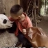 野生大熊猫饿了就下山，到人类家中找食物