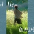 【自制纱布】ideal life理想生活 天堂竖琴