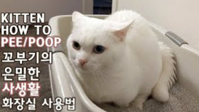 43022d41c14dd23dc85587baf245f1f8df11c3e6.jpg@280w_158h_1c_100q.jpg