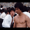 《龙 拳