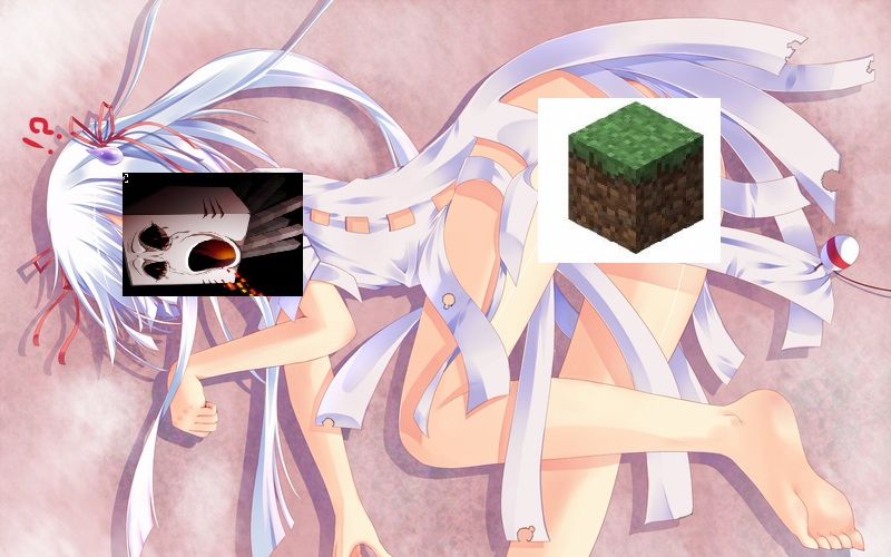 我的minecraft不可能那么spectre
