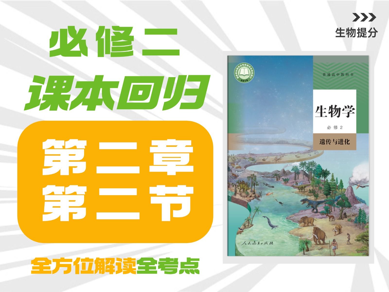 【高中生物课本回归】必修二 第2章 第2节 基因在染色体上